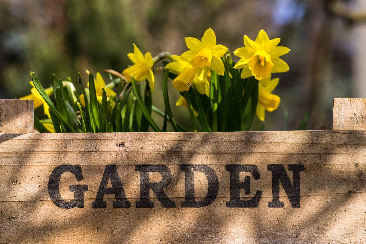 Was ist ein Garten? • Pentaxians