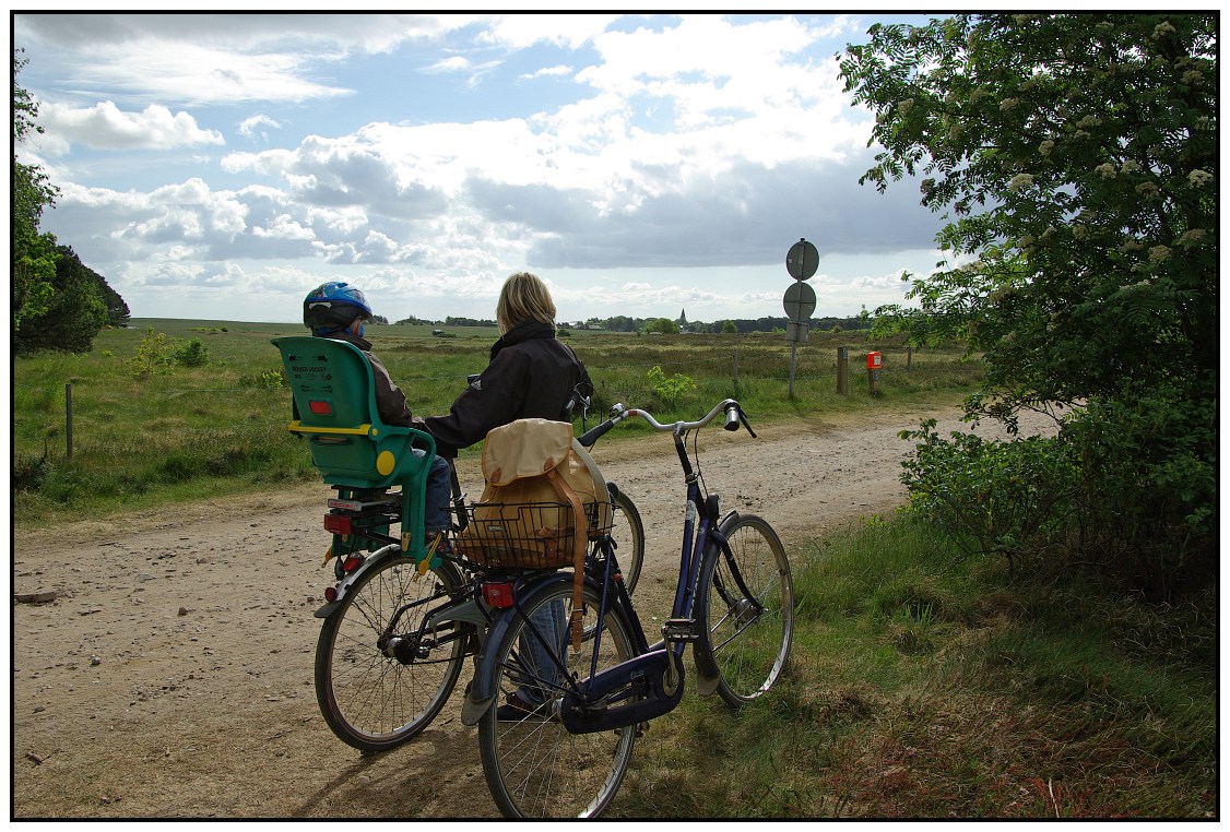 Nordfriesische Insel AMRUM • Pentaxians