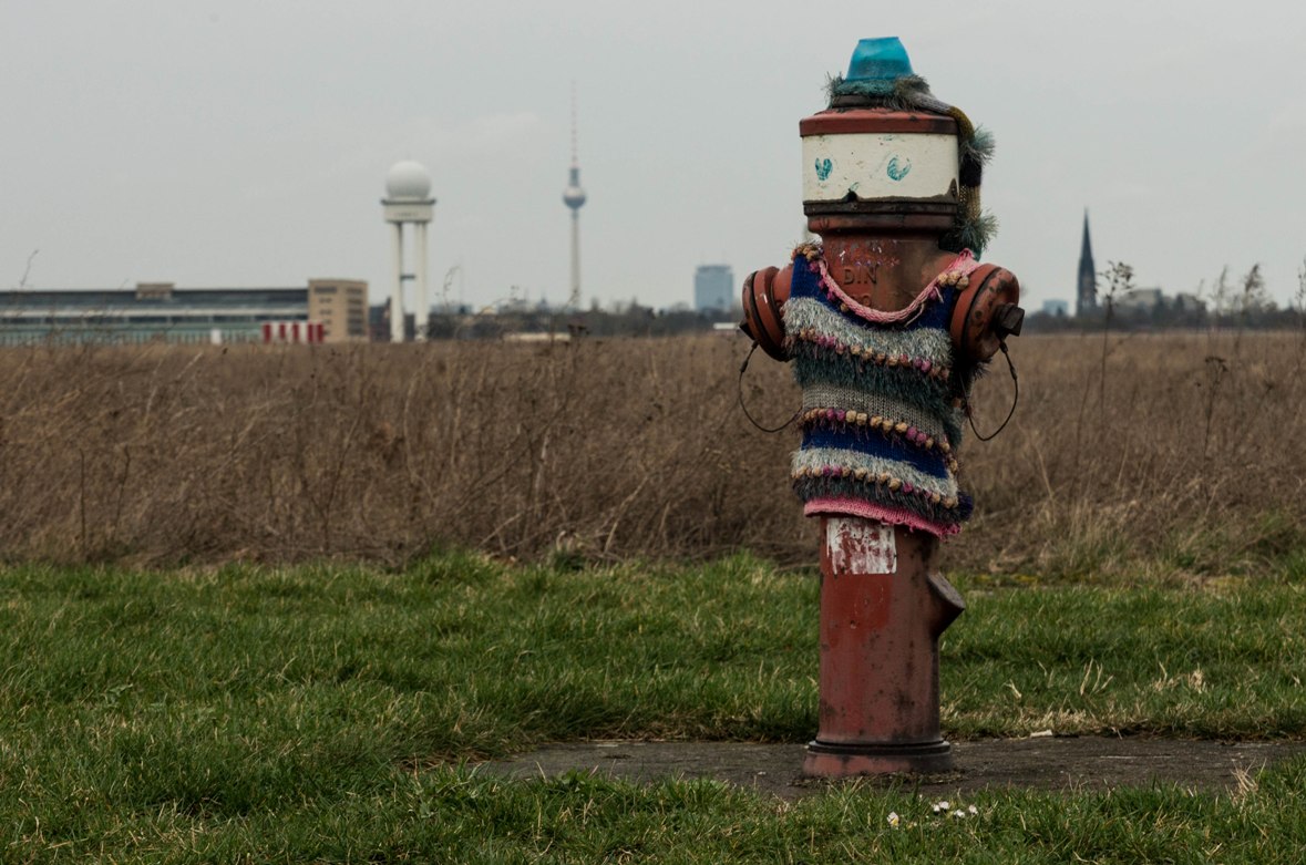 Bild