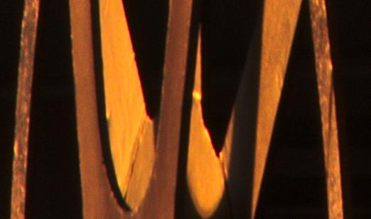 Bild