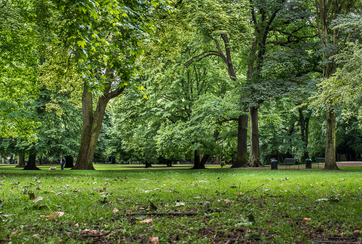 Bilder von Stadtgarten Köln: Entdecke die Magie des Zeichnens!