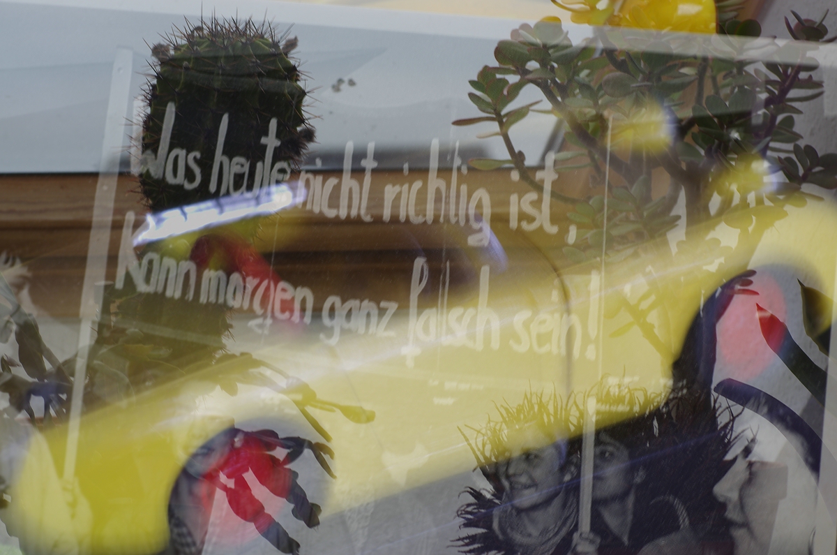 Bild