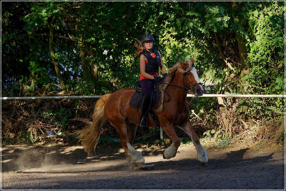 So Wie Der Herr Das Gescherr Wie der Herr (die Herrin) so das Gescherr...wieder Pferde.. • Pentaxians