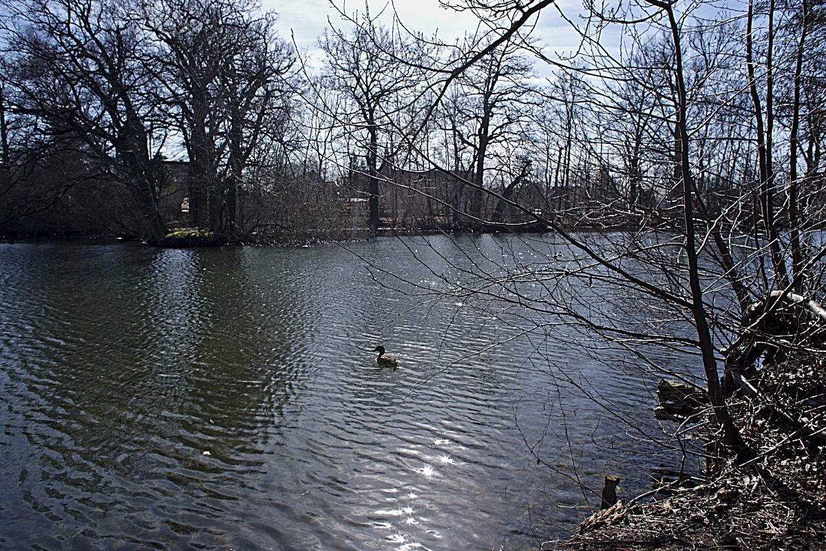 Riddagshausener Teiche bei Braunschweig • Pentaxians