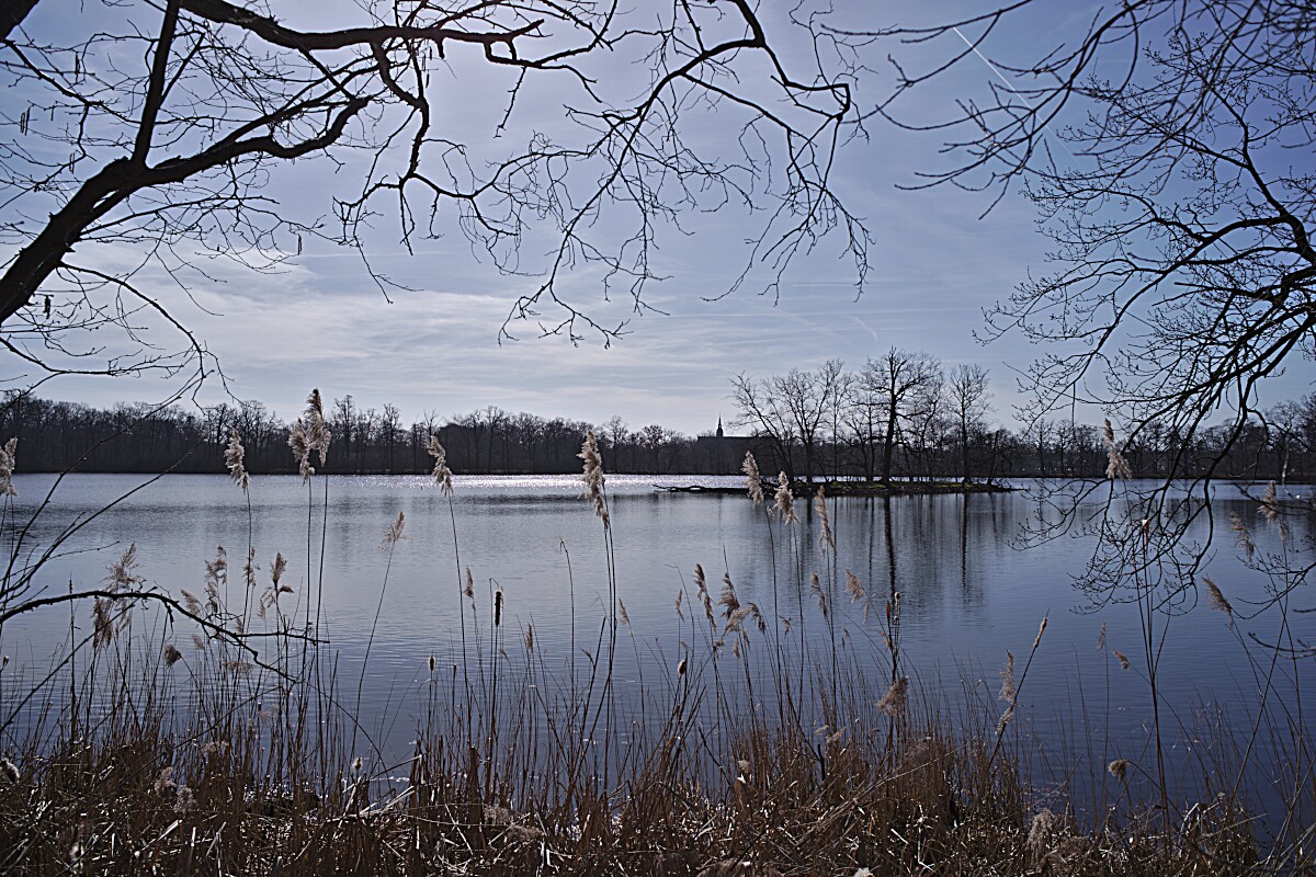 Riddagshausener Teiche bei Braunschweig • Pentaxians