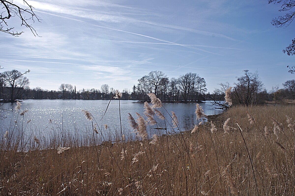 Riddagshausener Teiche bei Braunschweig • Pentaxians