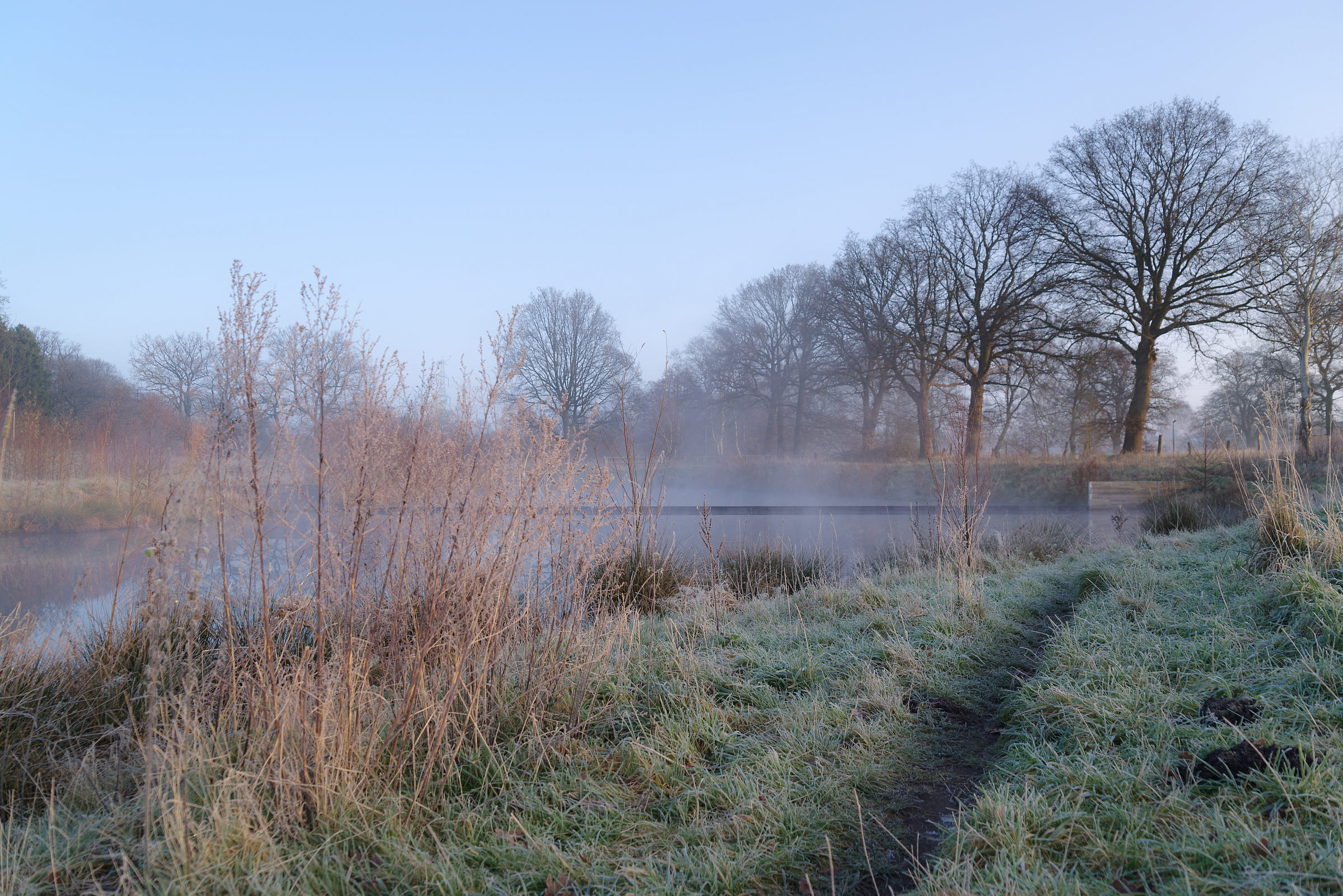 Sonne und Nebel am frühen am Teich • Pentaxians