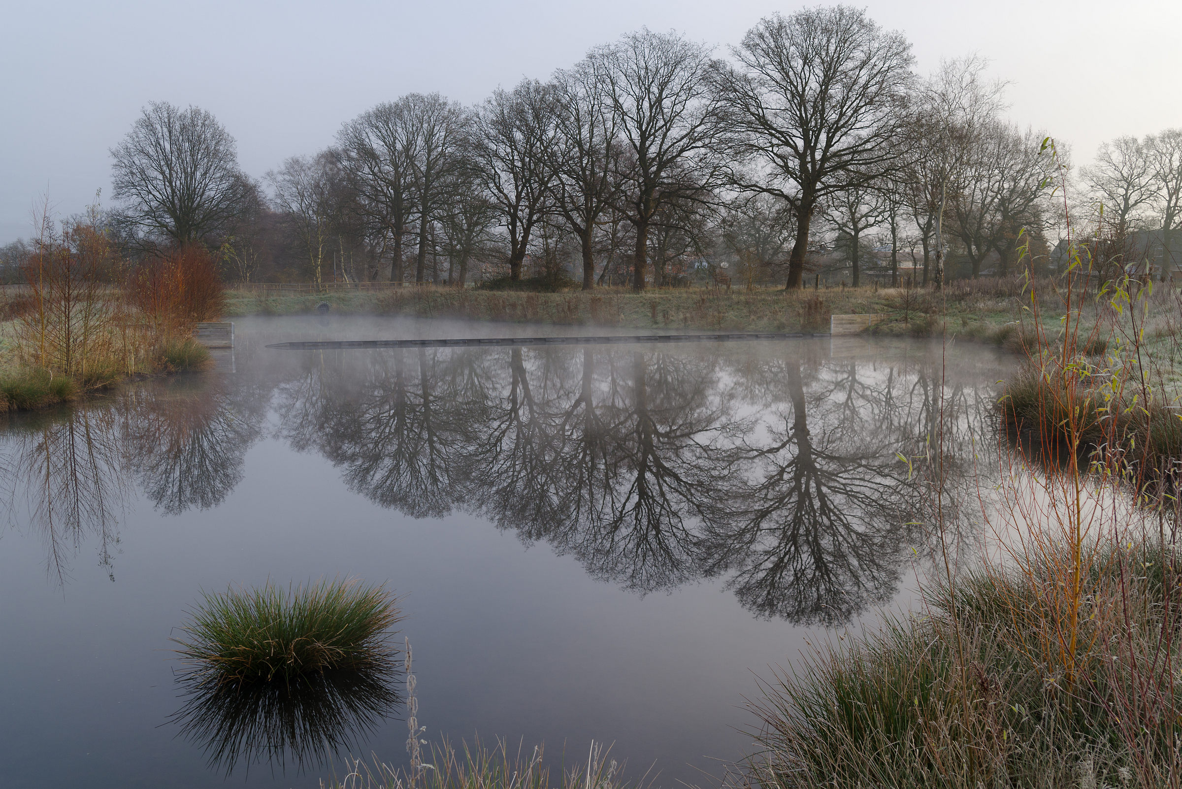 Sonne und Nebel am frühen am Teich • Pentaxians