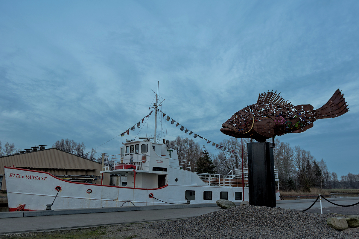 Future Fish am Vareler Hafen • Pentaxians