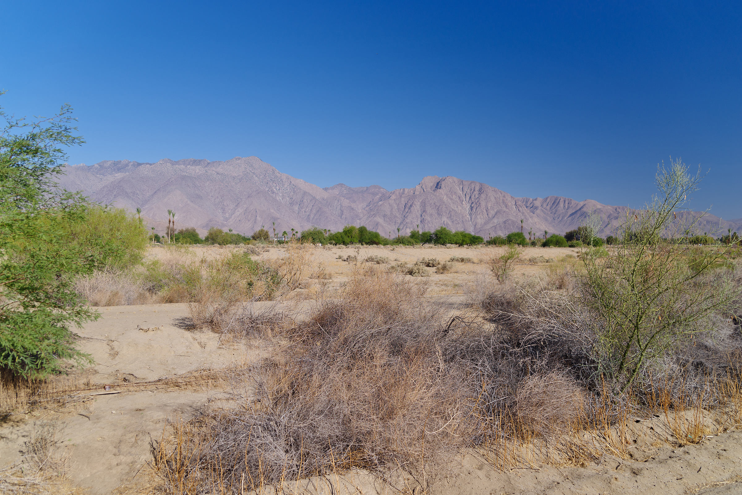 AnzaBorrego Desert State Park in Kalifornien • Pentaxians