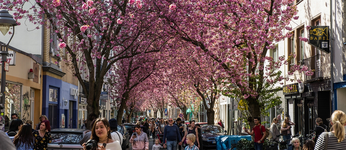 Breite Strasse Bonn • Pentaxians