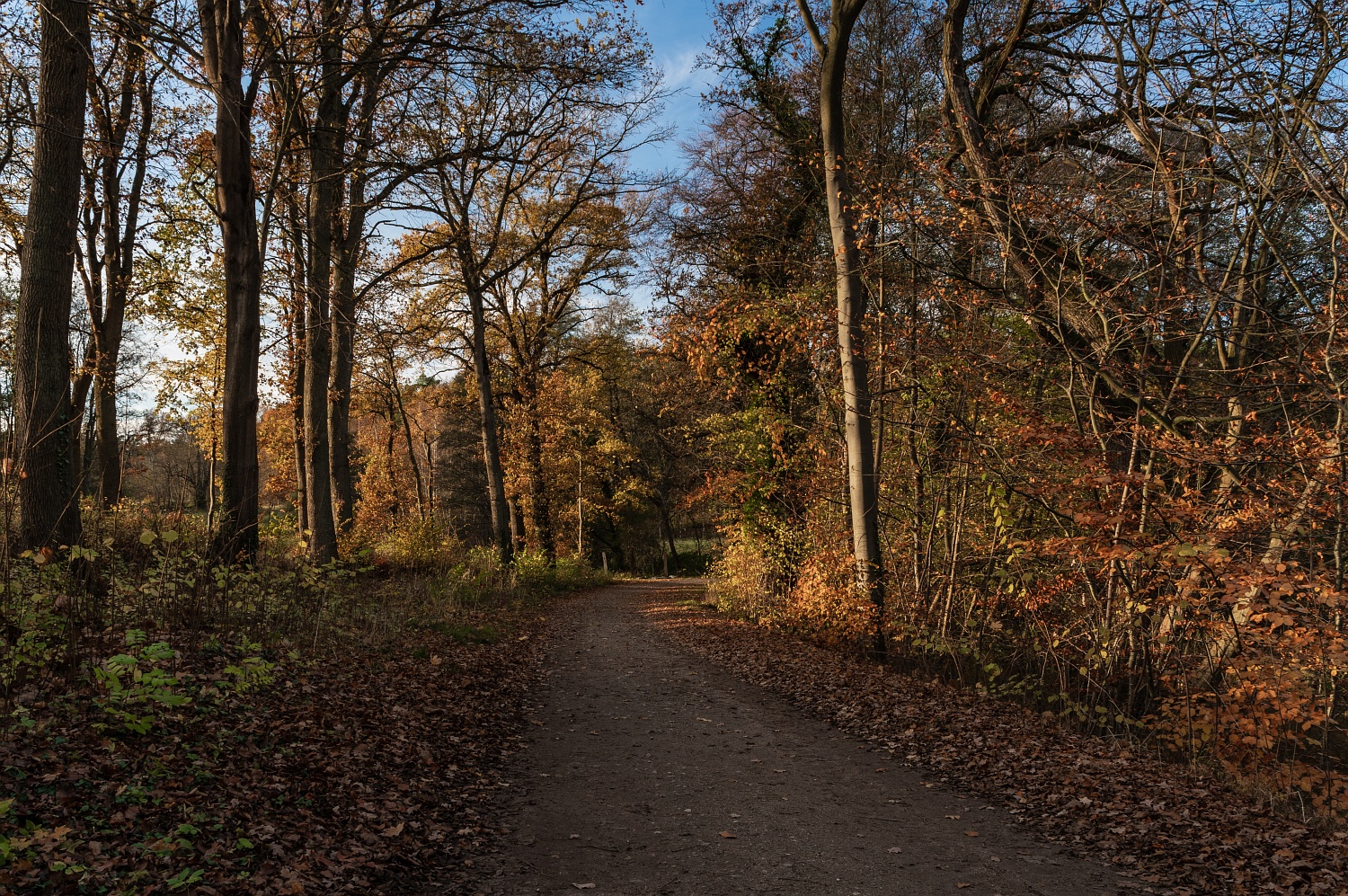 Große Runde durch das Nebeldurchbruchstal • Pentaxians