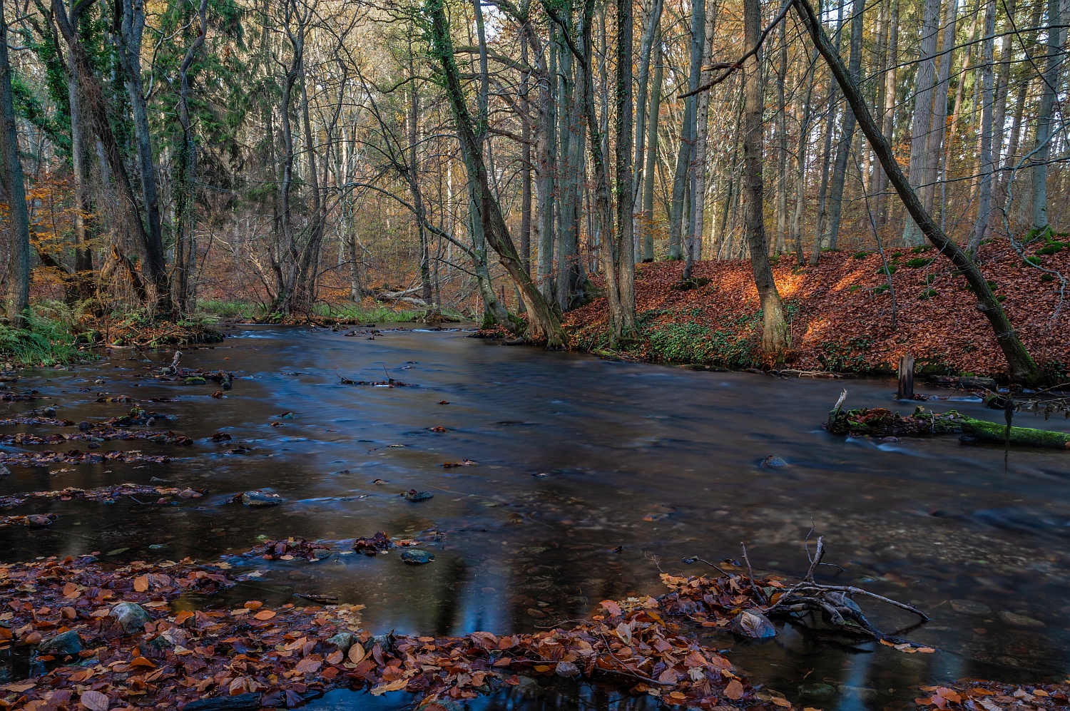 Große Runde durch das Nebeldurchbruchstal • Pentaxians