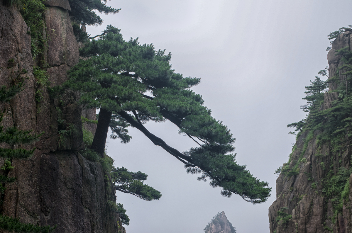 Drei Tage in Huang Shan • Pentaxians