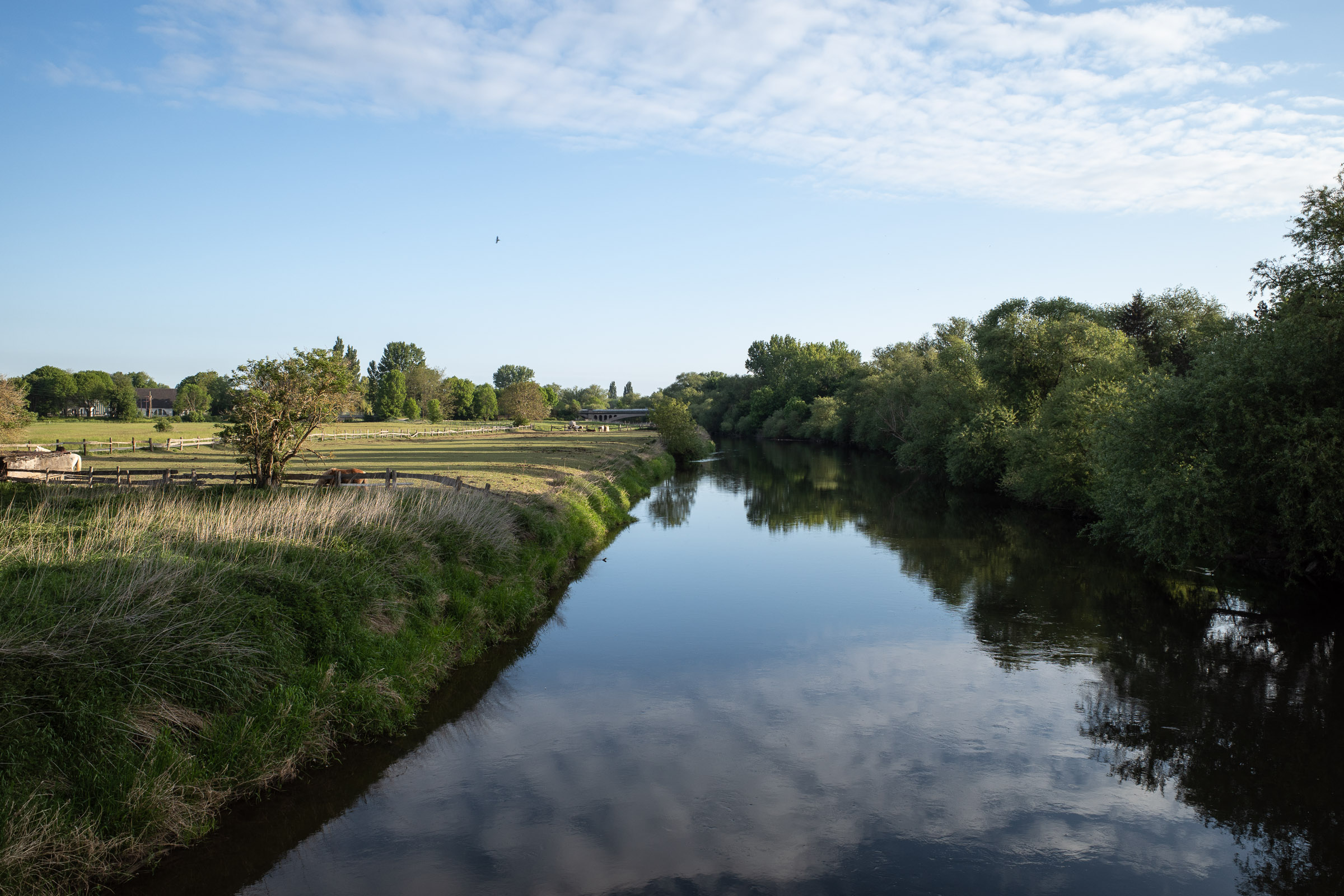 Re Am Rande meiner JoggingStrecke km 1 und 4 • Pentaxians