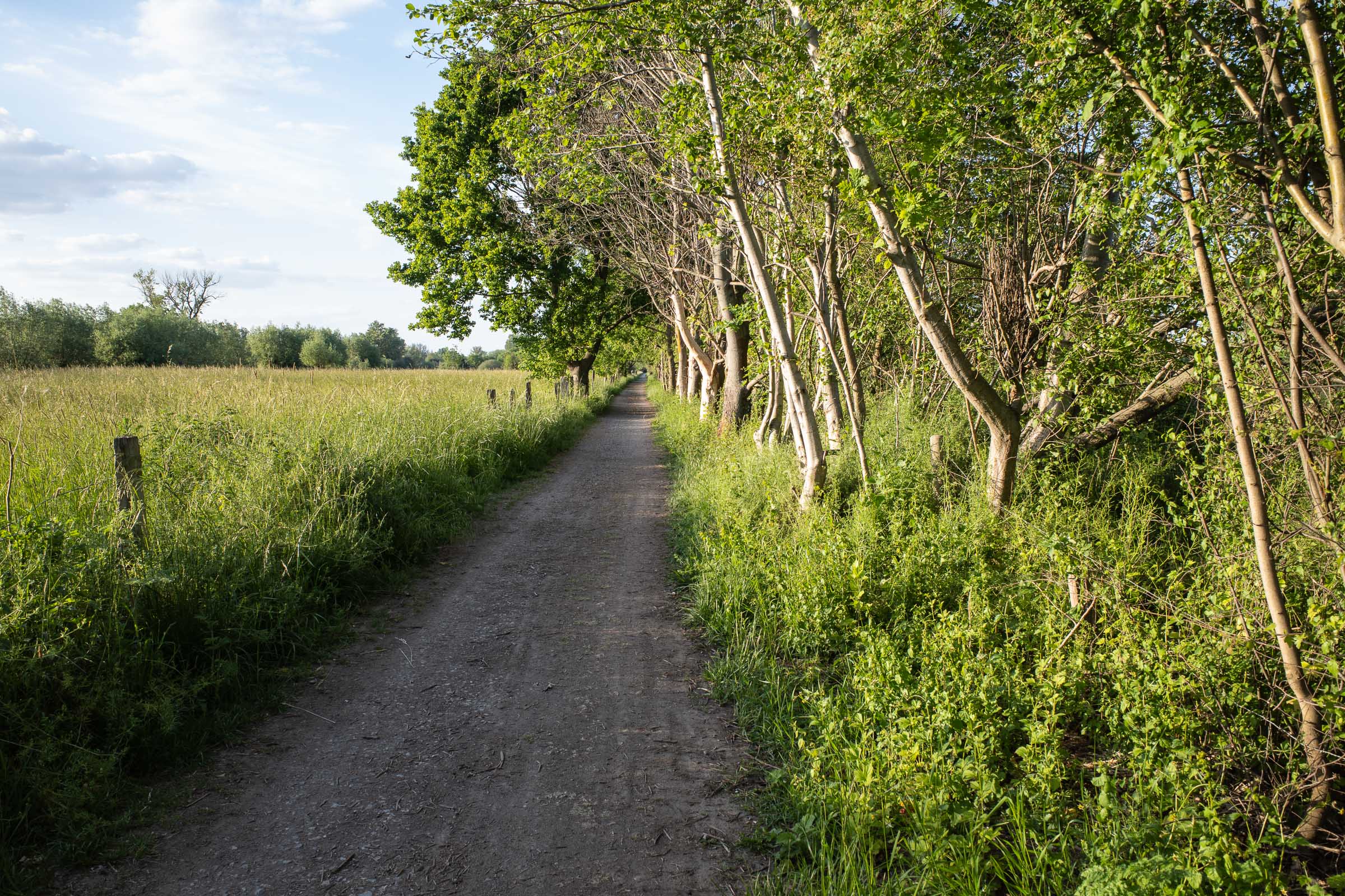 Re Am Rande meiner JoggingStrecke km 1 und 4 • Pentaxians