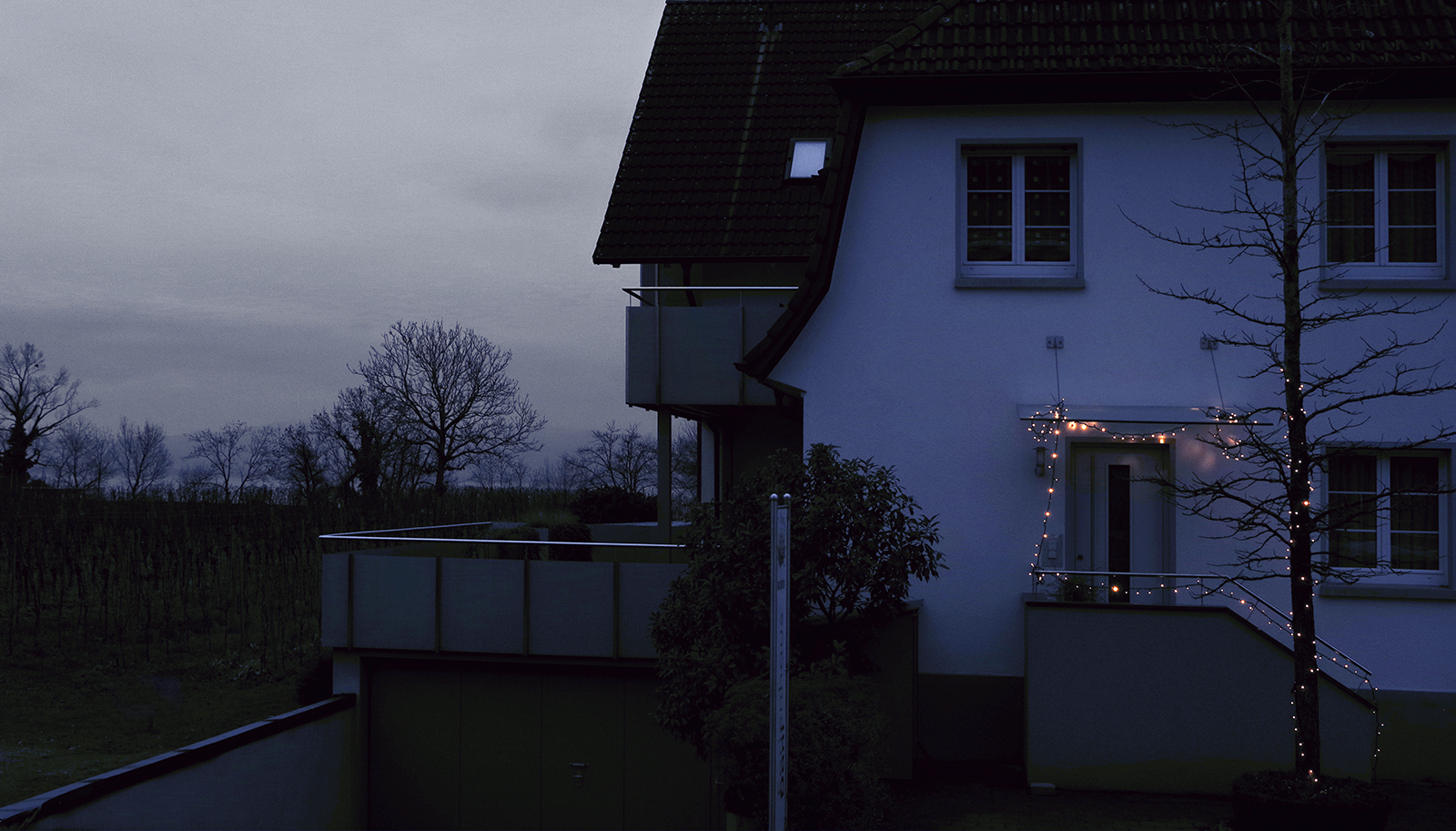 Bild
