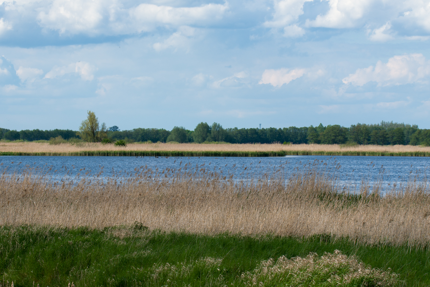 Geschichten aus dem Naturschutzgebiet (3) • Pentaxians