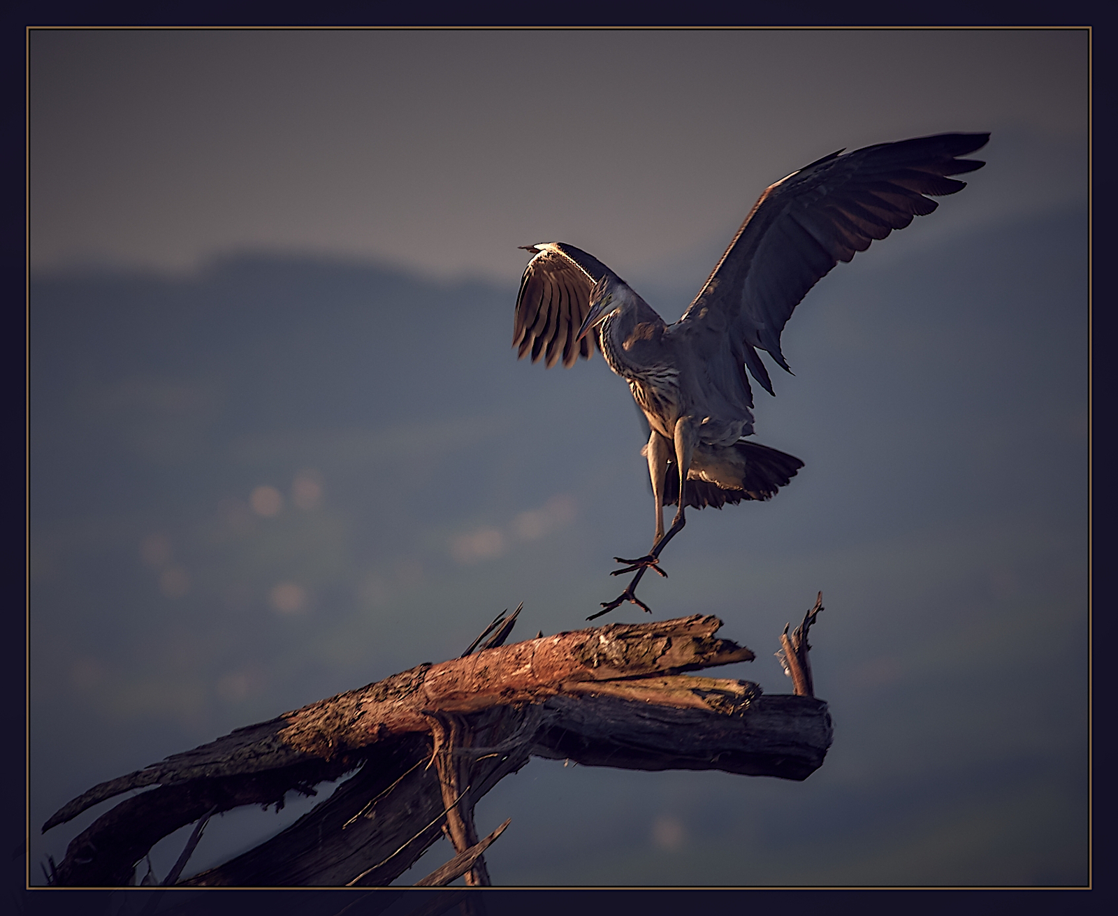 Mein Grabbeltisch....... • Pentaxians