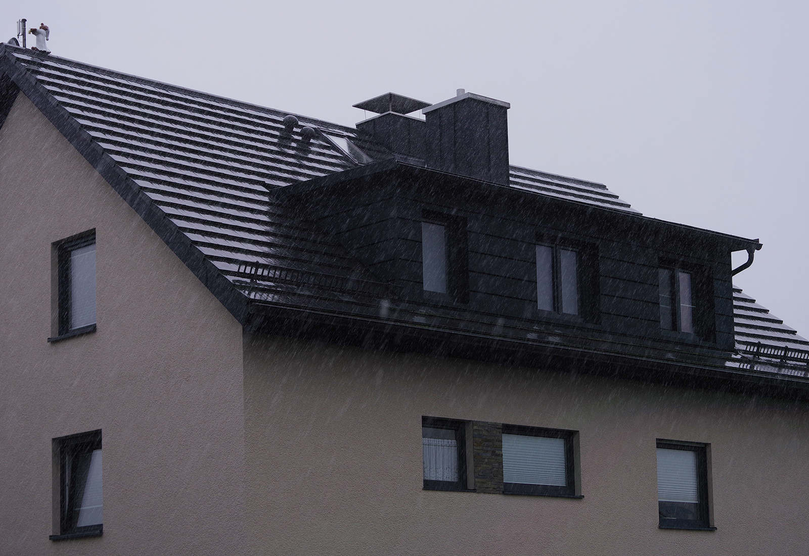 Bild