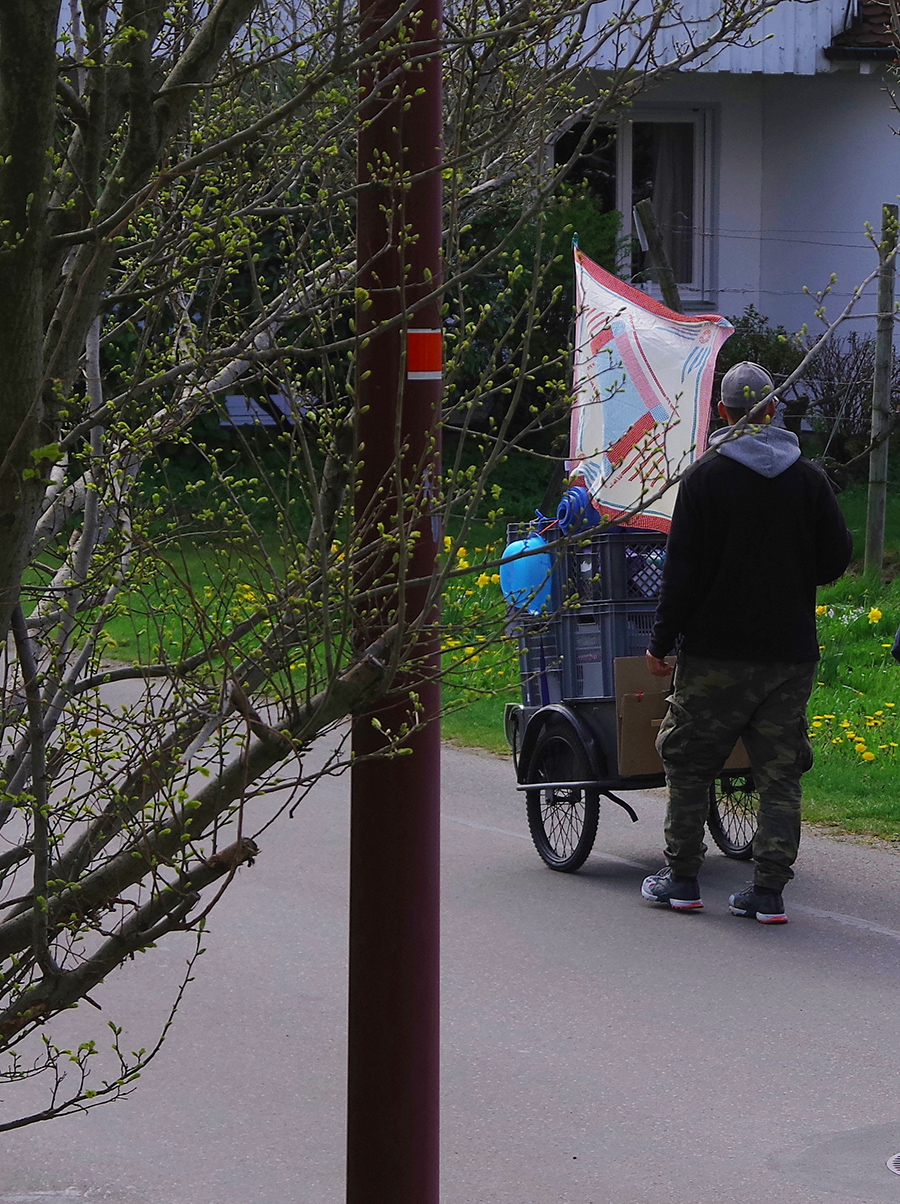 Bild