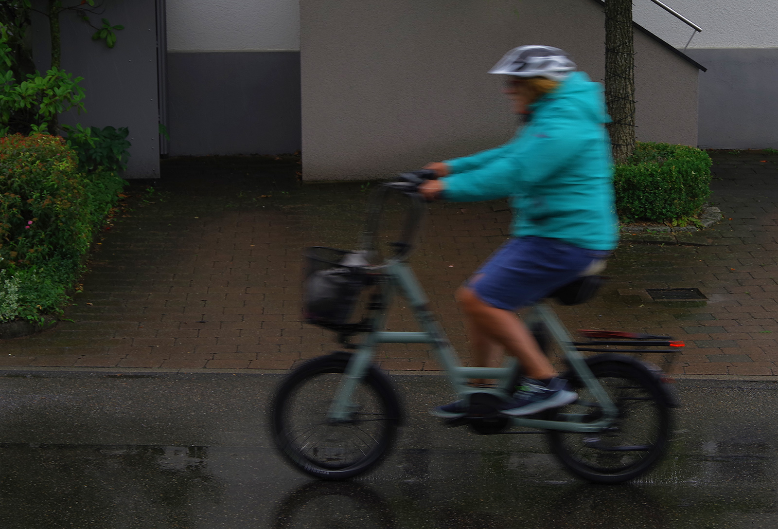 Bild