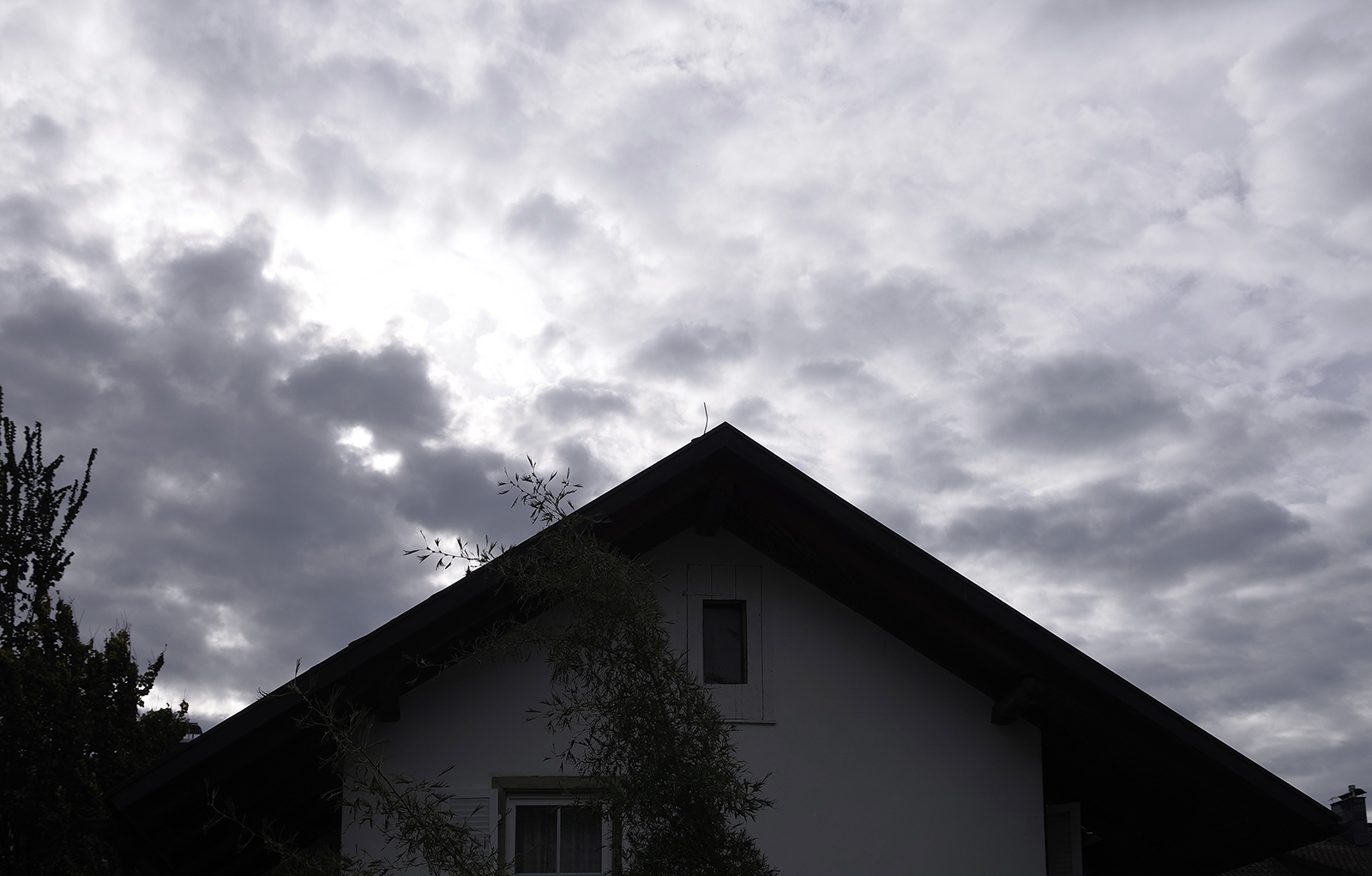Bild