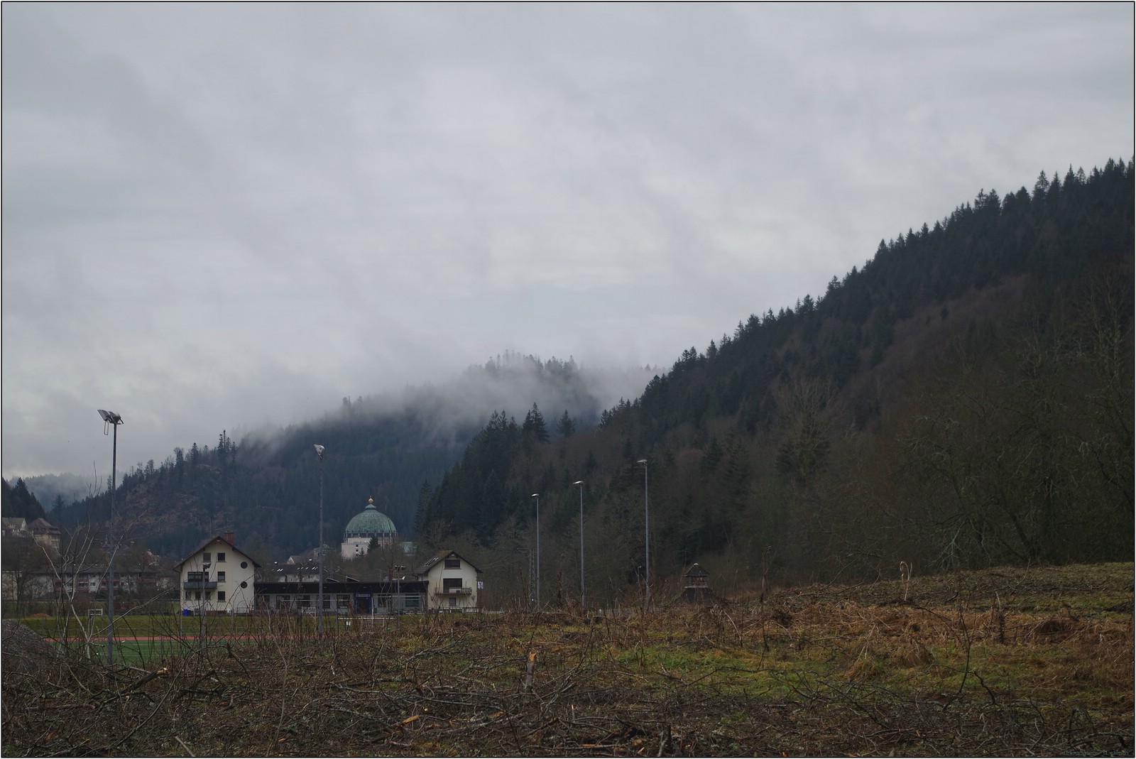 Bild
