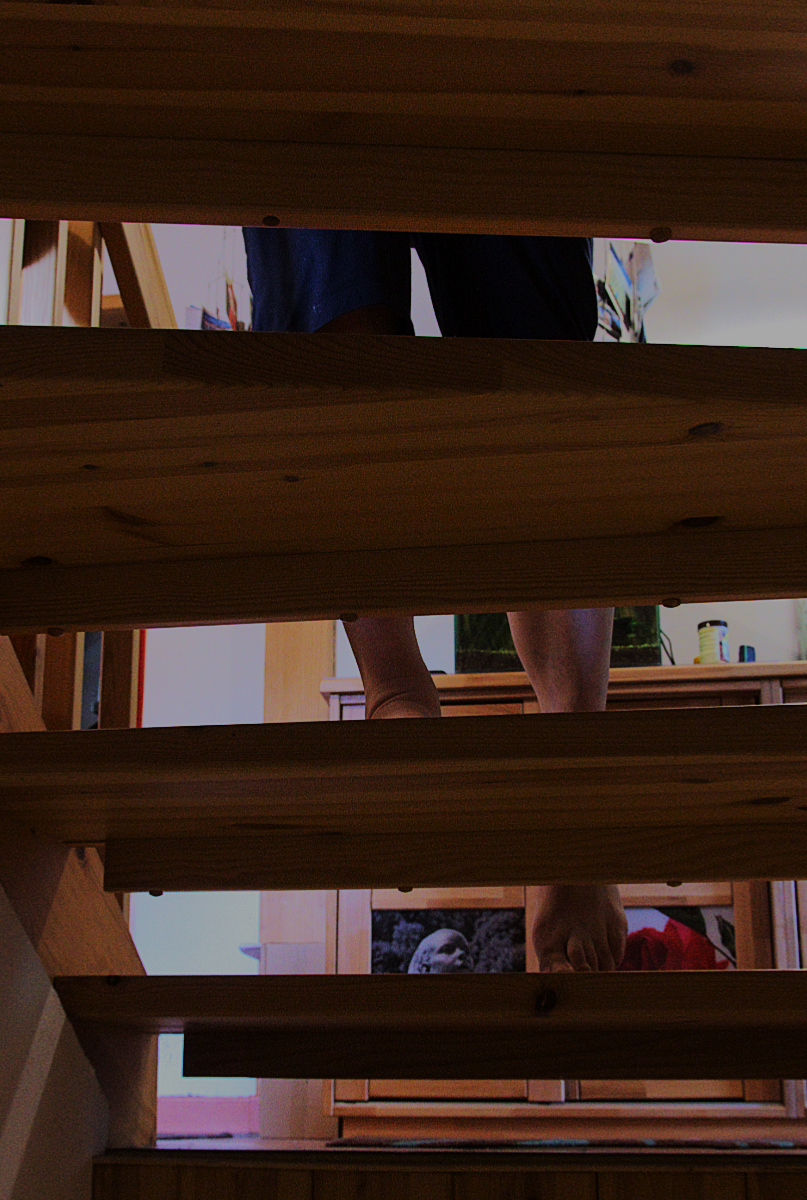 Bild