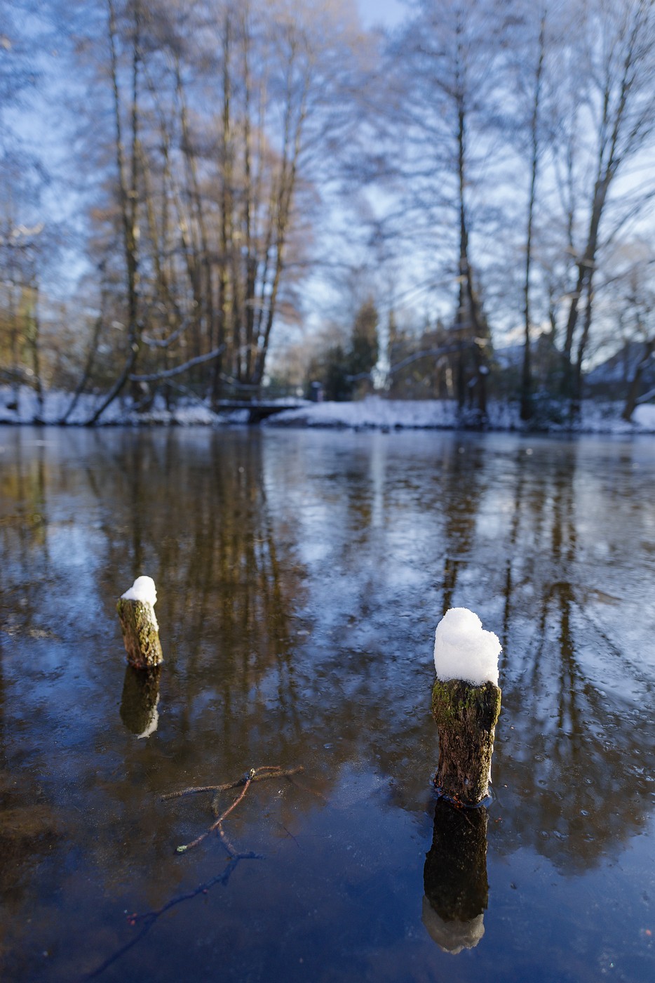 Erpel sonnt sich am gefrorenen Teich • Pentaxians
