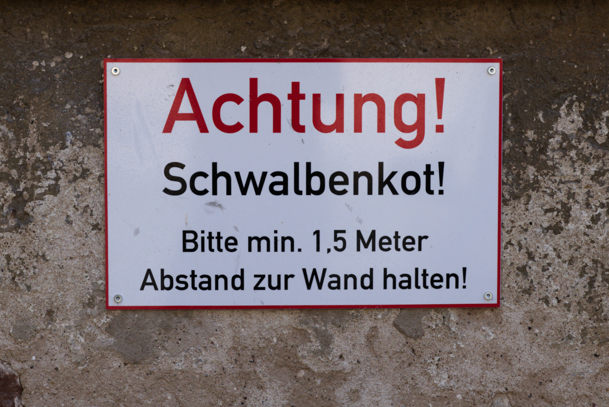 Bild