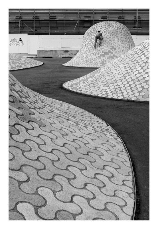 Bild