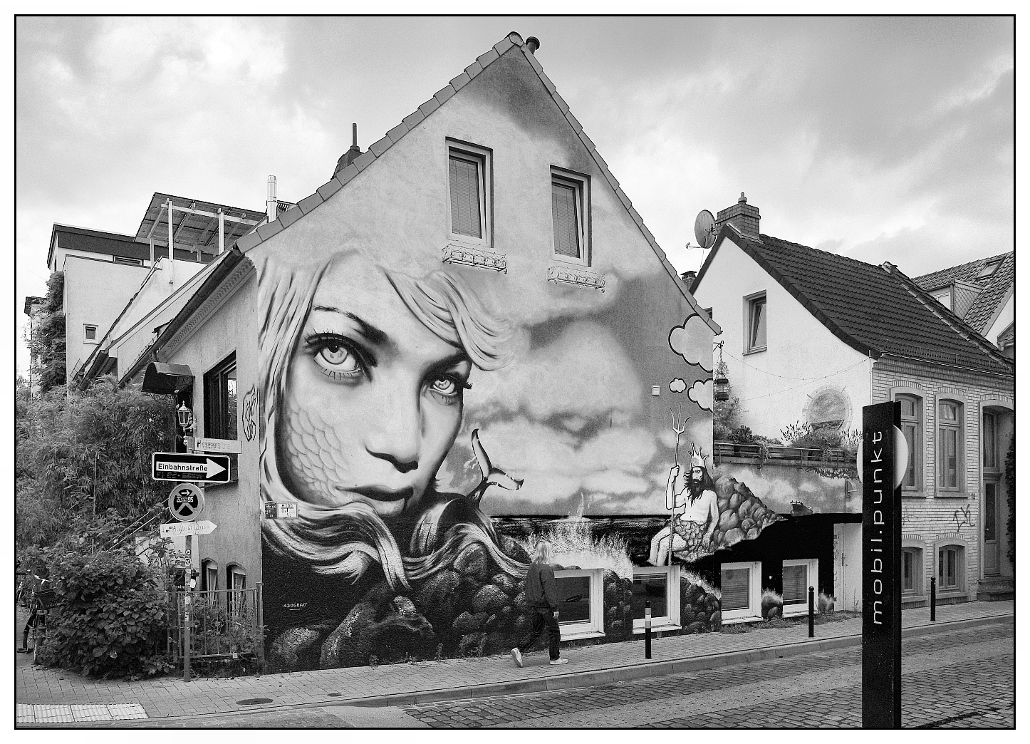 Bild