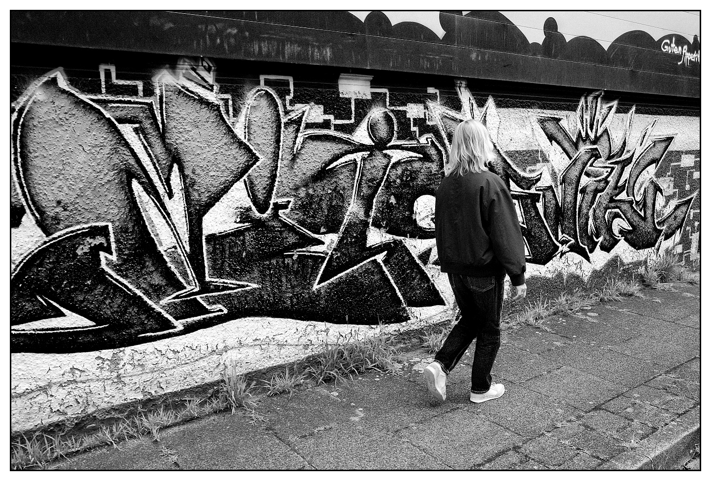 Bild